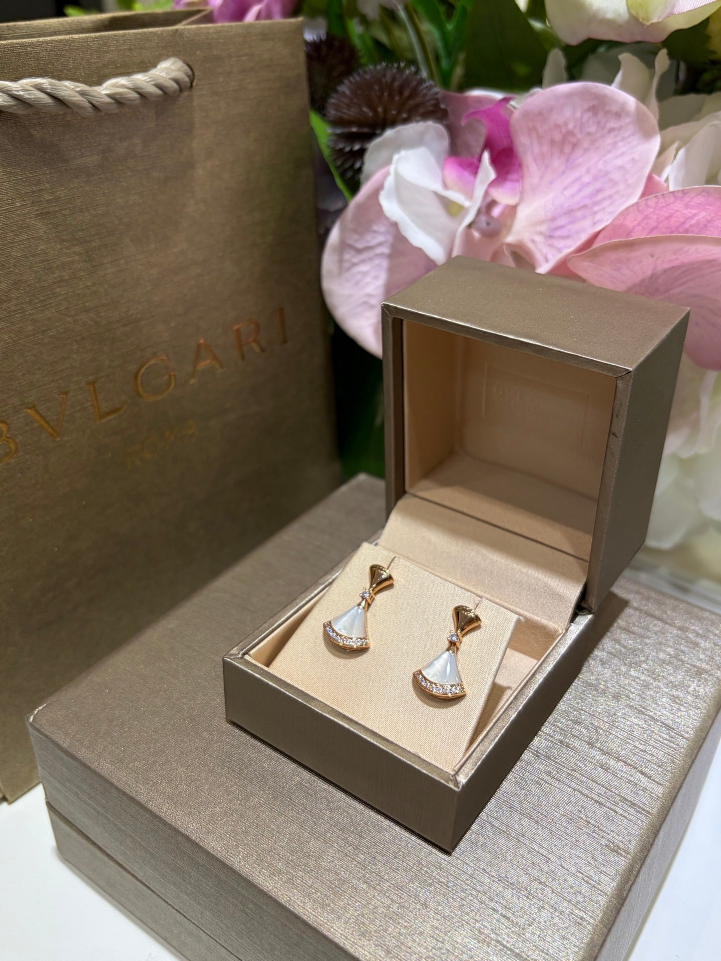 Bvlg Earrings